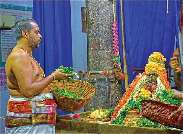 அஷ்ட ஐஸ்வர்யங்களும் அருளும் மயூரவல்லித் தாயாருக்கு வில்வார்ச்சனை!