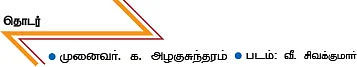 நெல்லியில் இருக்கு... நிறைந்த பலன்!