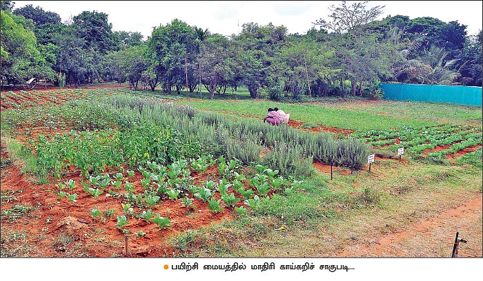 விதை முதல் விளைபொருள் விற்பனை வரை...வழிகாட்டும் ஓசூர் டி.வி.எஸ் நிறுவனம்!