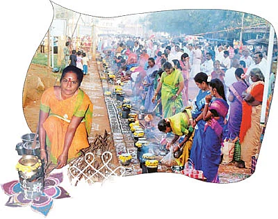 வம்சம் தழைக்க... செவ்வாய் பொங்கல்!
