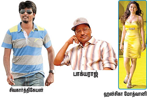 எலைட் எருமை டோன்ட் டிஸ்டர்ப்!