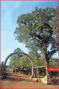 குழந்தை வரம் அருளும் ஸ்ரீகுமாரசுப்ரமணியர்!