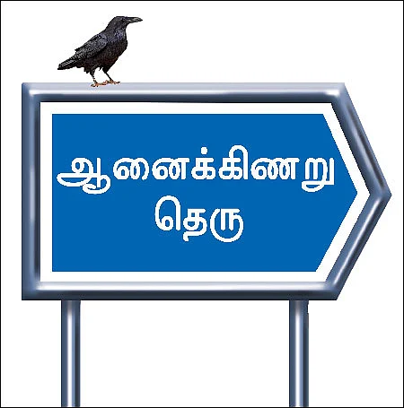 ஆனைக்கிணறு தெரு - சிறுகதை