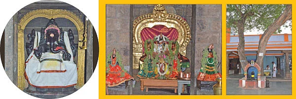 ஸ்ரீபைரவர் தரிசனம்! - உடுமலைப்பேட்டை