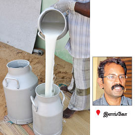 நீங்கள் கேட்டவை : 'பண்ணை வீடுகளில் பாம்புகள் நுழைவதை எப்படி தவிர்ப்பது?'