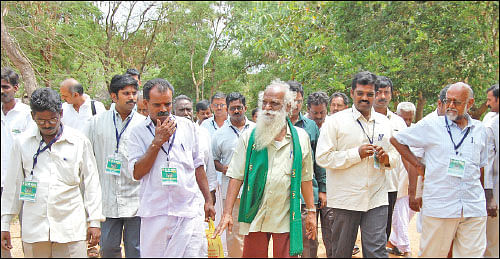 நீங்கள் கேட்டவை: விளைச்சலைக் கூட்டும் ‘மணிலா அகத்தி!’