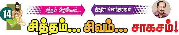 சித்தம்... சிவம்... சாகசம்! - 14