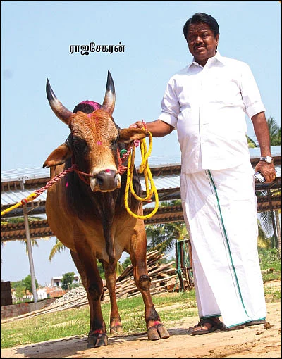 சாதிக்க, செவலை ரெடி!
