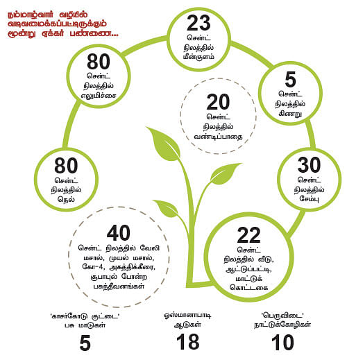 ஆடு, கோழி, மாடு, நெல், எலுமிச்சை...குடும்பத் தலைவியின் இயக்கத்தில் ஓர் ஒருங்கிணைந்த பண்ணை!