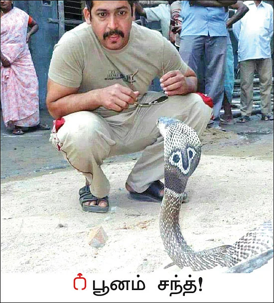 பாம்புகளின் அன்பன் பூனம் சந்த்!