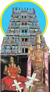 ஆரோக்கியம் அருளும் ஆலய விருட்சங்கள்!