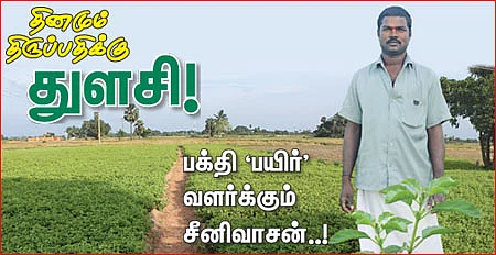 தினமும் திருப்பதிக்கு துளசி!