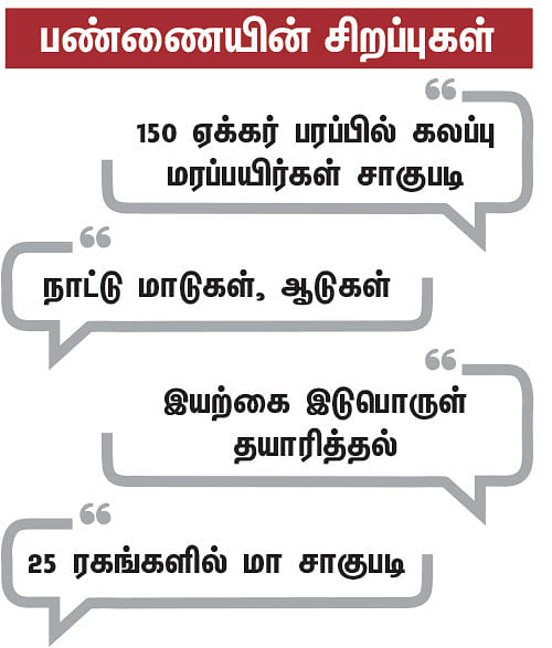 ஒரு நாள் விவசாயி! பருவம் - 2 - மா சாகுபடி, ஆண்டுக்கு ரூ 20 லட்சம் - நேரடி விற்பனையில் நிறைவான வருமானம்!