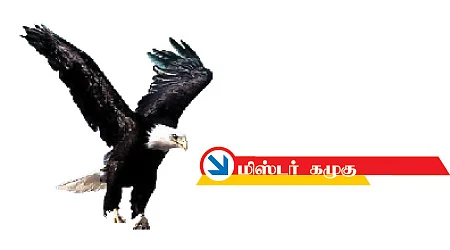 மிஸ்டர் கழுகு: நீக்கு... நீக்காதே...