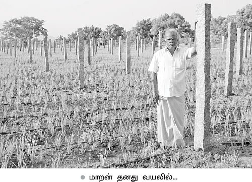 1 ஏக்கர்... 60 நாட்கள்...ரூ.1 லட்சத்து 30 ஆயிரம்... சிறப்பான லாபம் கொடுக்கும் சின்னவெங்காயம்!