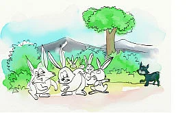 காட்டுக்கு வந்த கறுப்புப் பூனை !