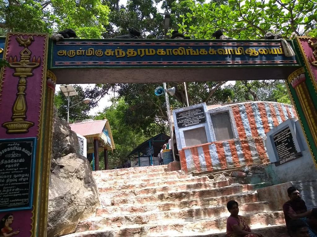 `தொட்டியிலும் இல்ல, ஊற்றிலும் இல்ல!'-தண்ணீருக்காக பக்தர்களை எதிர்நோக்கும் சதுரகிரி குரங்குகள்