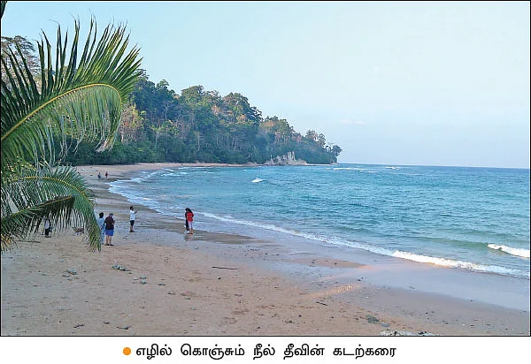 நீல் தீவு... - இந்தியாவின் முதல் இயற்கை விவசாயத் தீவு!