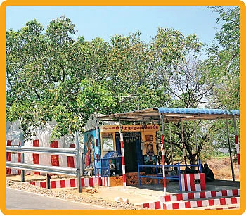 வாழ்வுக்கு வழிகாட்டும் மேகமலை முருகன்