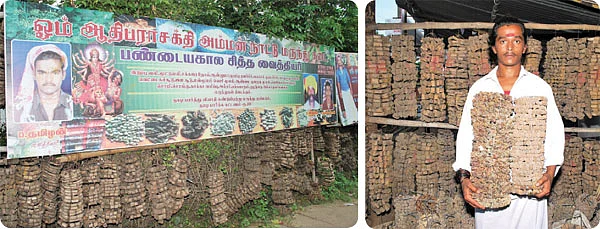 தைலராஜா. எம்.பி.பி.எஸ்