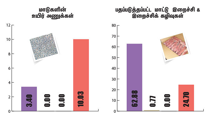 மாட்டு இறைச்சி ஏற்றுமதி!