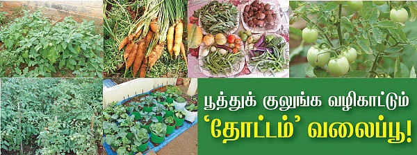 பூத்துக் குலுங்க வழிகாட்டும் ‘தோட்டம்’ வலைப்பூ!
