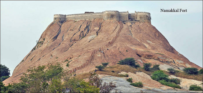 சேலம் 150 - இன்ஃபோ புக்