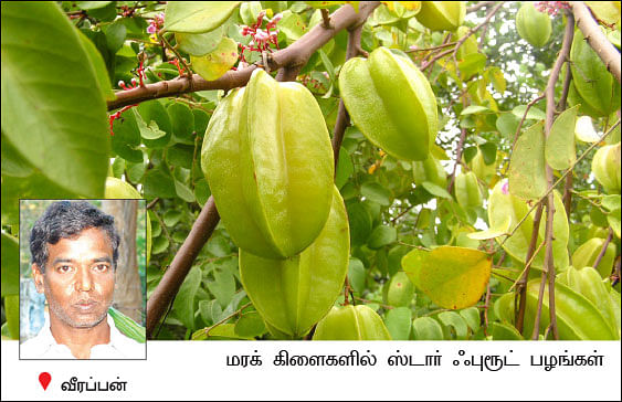 நீங்கள் கேட்டவை : 'பண்ணை வீடுகளில் பாம்புகள் நுழைவதை எப்படி தவிர்ப்பது?'