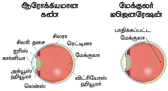 நில்... கவனி... ‘கண்’மணி!