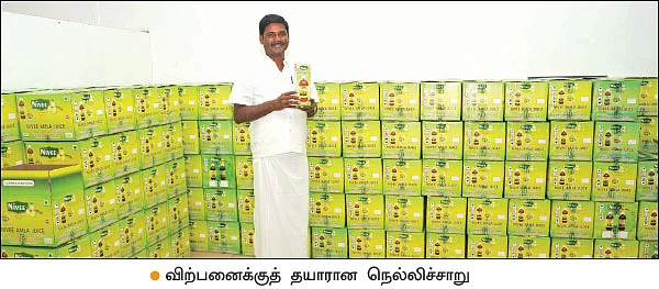 அன்று 10 ஏக்கர்... இன்று 200 ஏக்கர்! - மதிப்புக்கூட்டல் ‘நெல்லி’யில் மகத்தான வெற்றி!