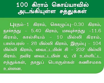 கொய்யா தரும் குறைவில்லாச் சத்து!