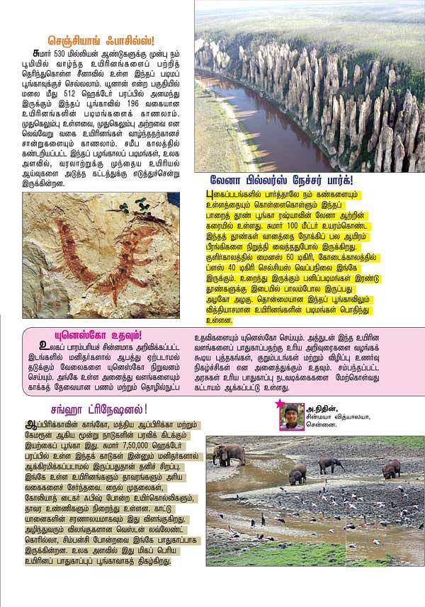 பாதுகாக்க வேண்டிய பாரம்பரிய சின்னங்கள் !