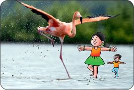 மாயா டீச்சரின் மந்திரக் கம்பளம்!