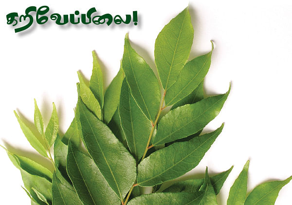 நம்ம ஊரு வைத்தியம் - 10