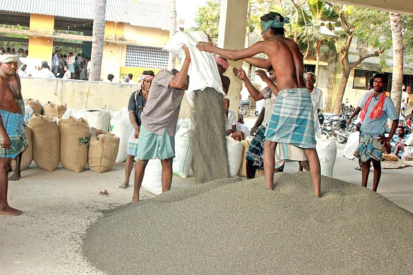 பலே லாபம் கொடுக்கும் பச்சைப் பயறு