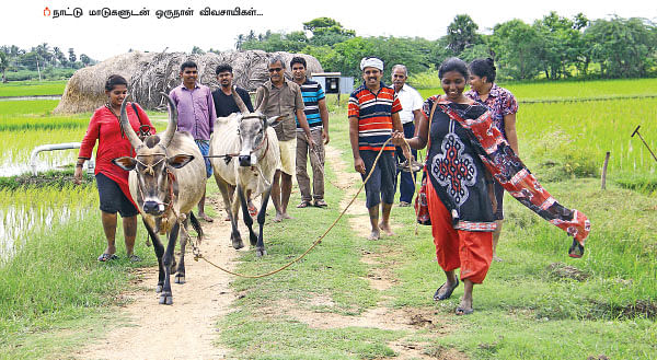 ஒரு நாள் விவசாயி! பருவம்-2