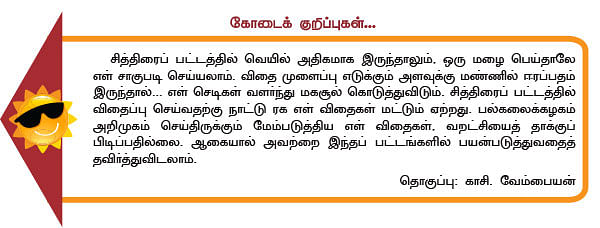 மரத்தடி மாநாடு