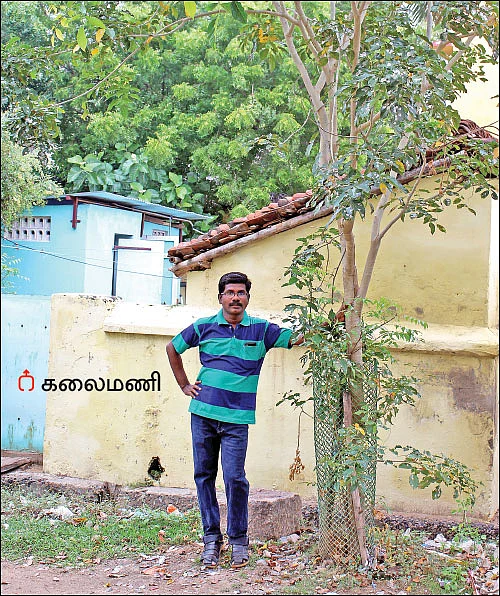 மரக்கன்றுகள் கொடுக்கும் கலைமணி... டெல்டா மாவட்டத்தில் ஒரு ‘பச்ச மனுஷன்’
