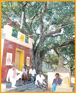 ஒரு மரம் கிடைச்சா விட மாட்டீங்களே!