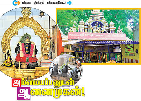 அம்மையப்பனுடன் ஆனைமுகன்!