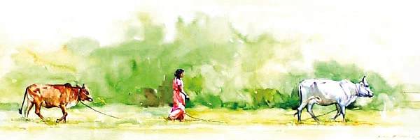 ‘பொங்கலுக்கு மாமனைக் கவனி!’