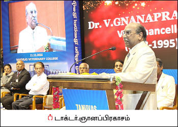மண்புழு மன்னாரு: மாட்டுக்கு உயிர்கொடுத்த இளநீர்!