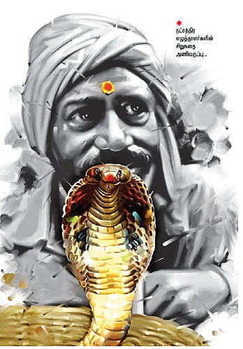 இது பாம்புக்கதை அல்ல