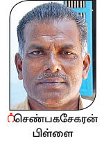 குறைந்துபோன நெல் சாகுபடி... அழிந்துபோன பாரம்பர்ய ரகங்கள்!