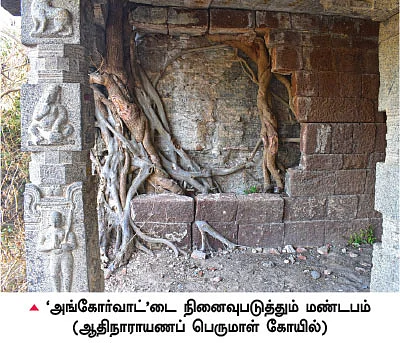 நம் ஊர்... நம் கதைகள் - இடிந்த கோட்டையும் எதிர்வரும் பறவைகளும்!