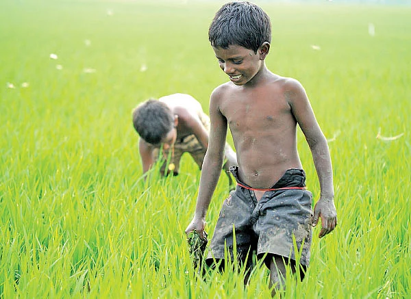 ஆடிப்பொம்மை... மழை வேண்டி ஒரு பாரம்பர்யச் சடங்கு!