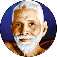 தீபாவளி தீப தரிசனம்!