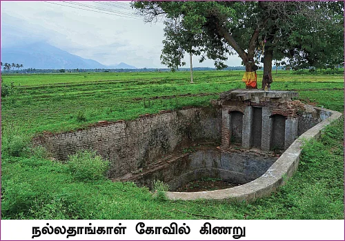 தமிழகம் இன்ஃபோ ஸ்பெஷல் #8 - விருதுநகர் 200 - இன்ஃபோ புக்