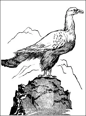 சித்திர ராமாயணம்