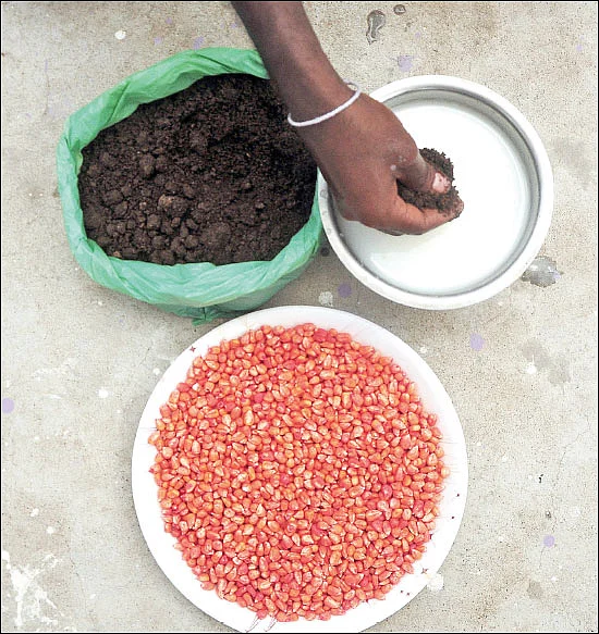 ஒரு கிலோ உயிர் உரம்... 30 கிலோ யூரியாவுக்குச் சமம்! - உதவிக்கு வரும் உயிரியல் - 7
